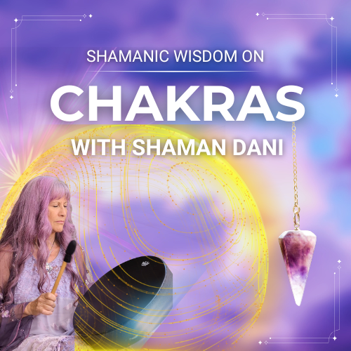 shamanic guide to chakras