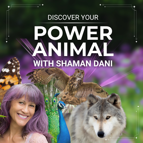 power animal workshop